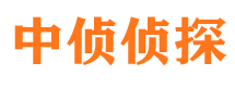 老城市侦探调查公司